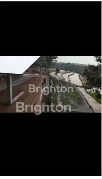 image DIJUAL TANAH  (3)