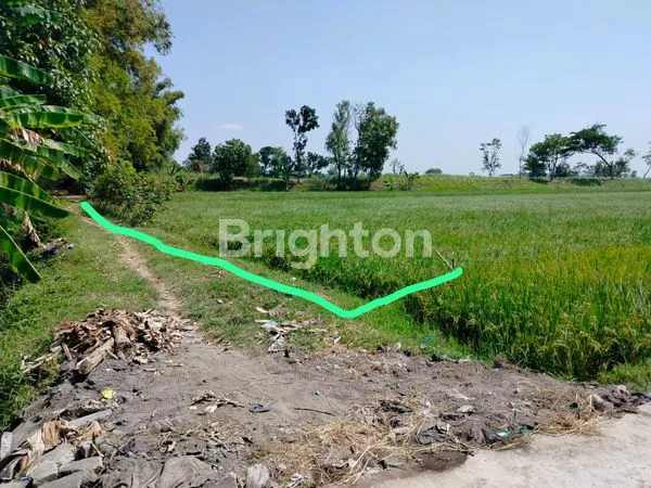 DIJUAL MURAH  TANAH SUBUR