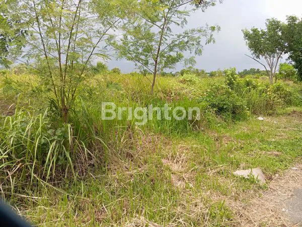 image TANAH GUDANG SIAP BANGUN DI AREA STRATEGIS KAWASAN PERGUDANGAN DELTAMAS CIKARANG (2)