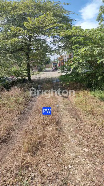 image TANAH KAVLING SHM 300M² DI PEMATANG WANGI STARTEGIS (2)