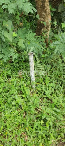 image TANAH DI CIMEMEN, FAJAR BARU, LAMPUNG SELATAN (2)