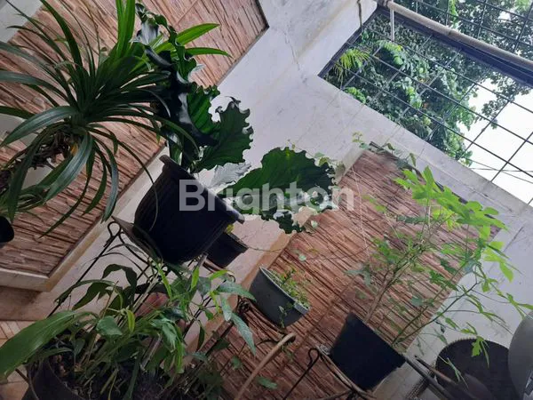 image RUMAH TEBET JAKARTA SELATAN (6)
