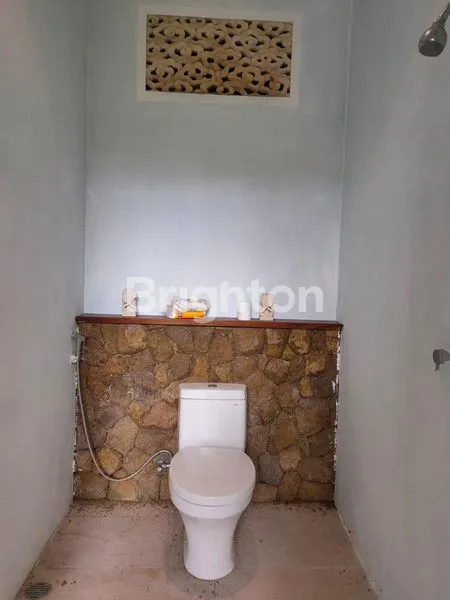 image VILLA MEWAH 3 ARE DI UBUD, SHM & KOLAM RENANG (7)