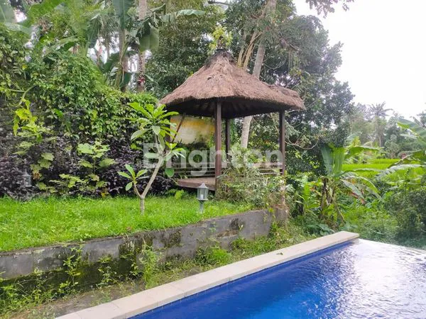 image VILLA MEWAH 3 ARE DI UBUD, SHM & KOLAM RENANG (3)