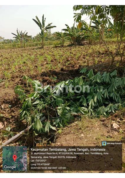 image TANAH STRATEGIS 15X20M DI TEMBALANG, HARGA TERJANGKAU (1)