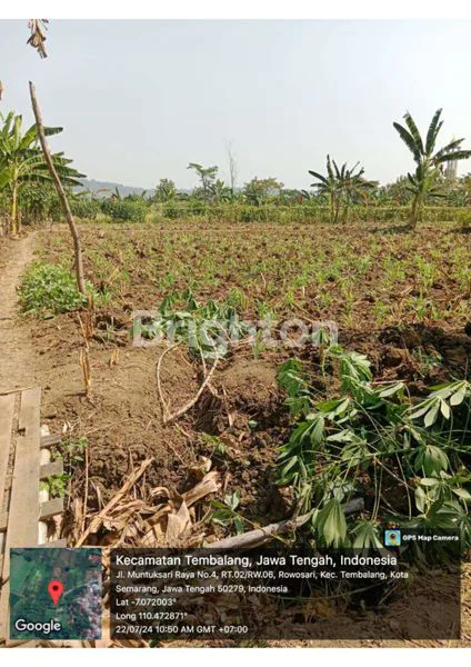 image TANAH STRATEGIS 15X20M DI TEMBALANG, HARGA TERJANGKAU (3)