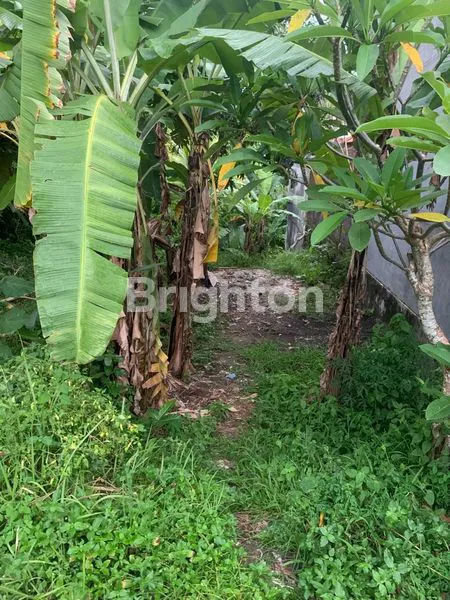 image JUAL CEPAT TANAH 90 METER DARI BY PASS IR SOEKARNO TABANAN (2)
