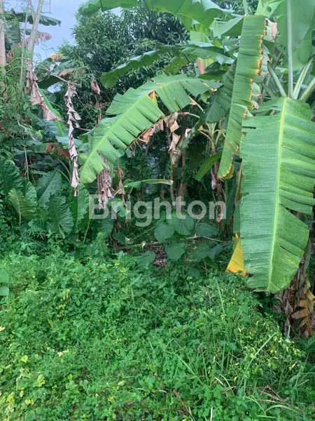 image JUAL CEPAT TANAH 90 METER DARI BY PASS IR SOEKARNO TABANAN (3)