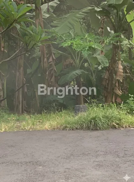 image JUAL CEPAT TANAH 90 METER DARI BY PASS IR SOEKARNO TABANAN (4)