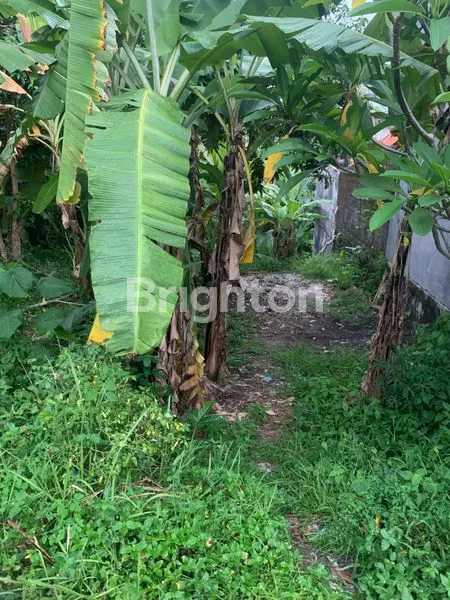 image JUAL CEPAT TANAH 90 METER DARI BY PASS IR SOEKARNO TABANAN (6)