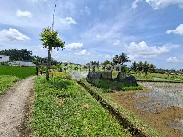 image TANAH STRATEGIS DI UBUD, VIEW GUNUNG & SAWAH, SHM (1)