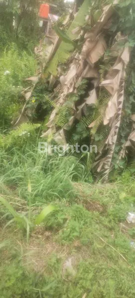 image LAHAN STRATEGIS 300M² SHM, DEKAT PUSKESMAS (3)