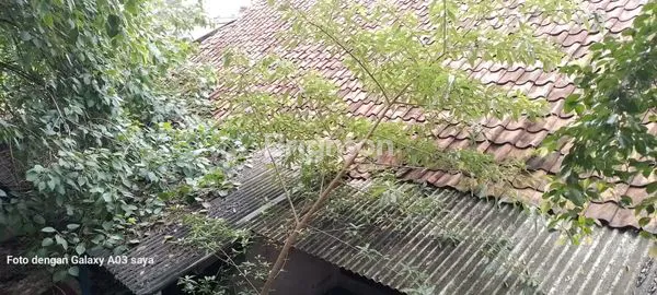 image RUKO & RUMAH TUA STRATEGIS DI JL. PANJANG, LT 914M² (8)