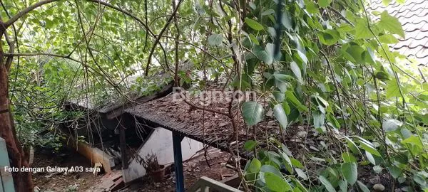 image RUKO & RUMAH TUA STRATEGIS DI JL. PANJANG, LT 914M² (7)