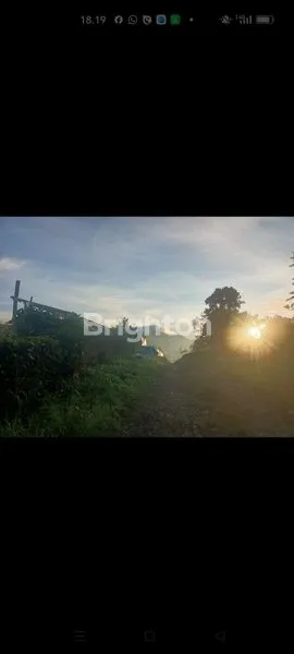 image TANAH DI PECEREN BERASTAGI  (3)