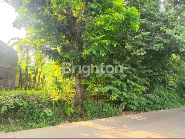 image TANAH KAVLING DI TAJUR HALANG (3)