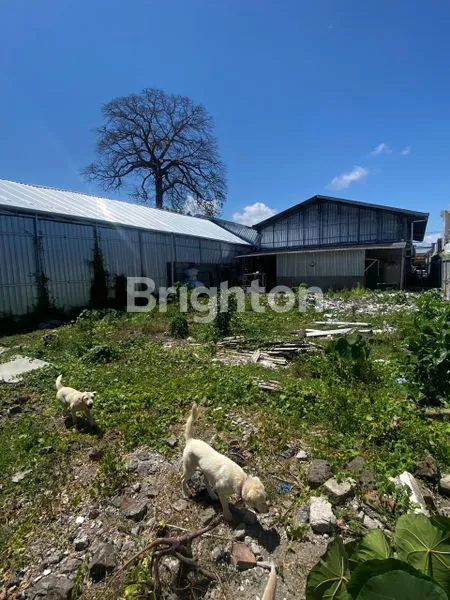 image TANAH STRATEGIS 312M² DI PANJER, DENPASAR (4)