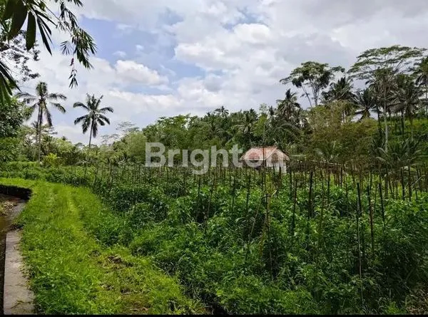 DIJUAL TANAH LOKASI DAN INVESTASI YANG SANGAT MENGUNTUKAN