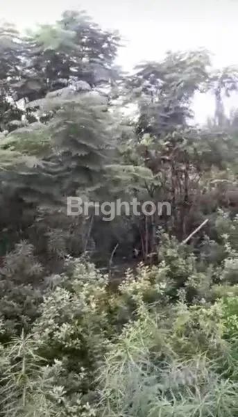 image DIJUAL TANAH DI PONDOK KACANG TANGERANG SELATAN (4)