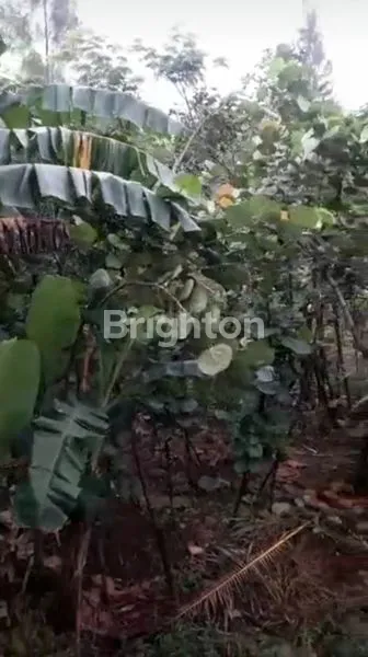 image DIJUAL TANAH DI PONDOK KACANG TANGERANG SELATAN (5)