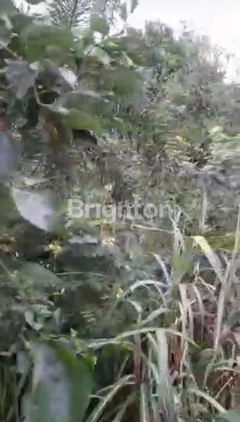 image DIJUAL TANAH DI PONDOK KACANG TANGERANG SELATAN (6)