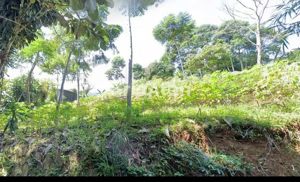 image KAVLING DI SENTUL BOGOR (3)