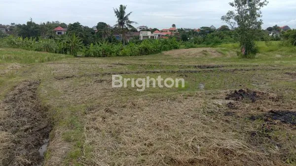 TANAH LUAS DI CANGGU 24 ARE SIAP UBAH ZONA KUNING