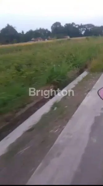image TANAH LUAS LOKASI STRATEGIS DEKAT  JALAN RAYA PRAMBANAN MANISRENGGO (2)