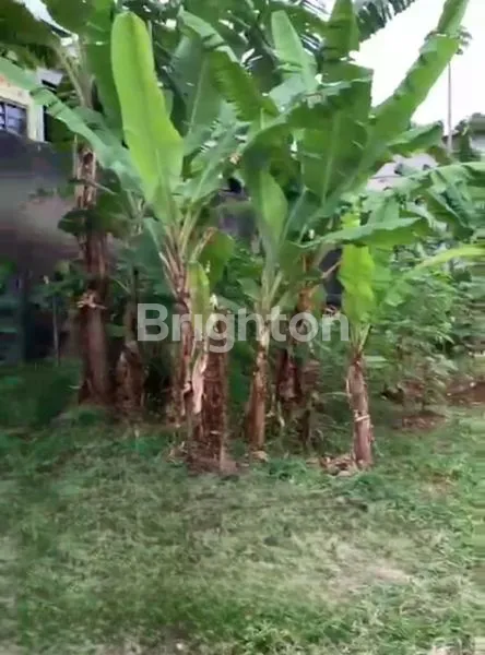 image TANAH KAVLING DI CIPARIGI (5)