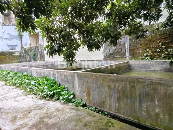 image TANAH DAN RUMAH STRATEGIS DI PINGGIR JALAN (6)