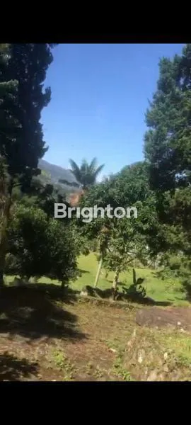 image DIJUAL VILLA DIBATU LAYANG BOGOR (6)