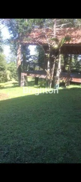 image DIJUAL VILLA DIBATU LAYANG BOGOR (2)