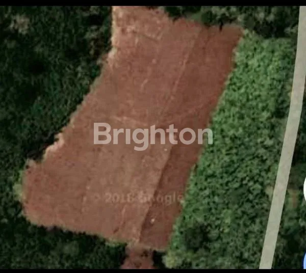 image KAPLINGAN TANAH KEBUN DI PASURUAN (2)