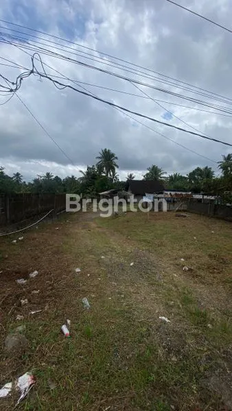 image TANAH STRATEGIS PINGGIR JALAN RAYA KE BEDUGUL (8)