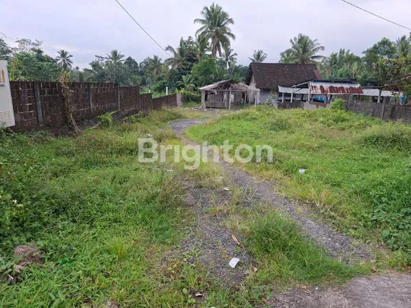 image TANAH STRATEGIS PINGGIR JALAN RAYA KE BEDUGUL (5)