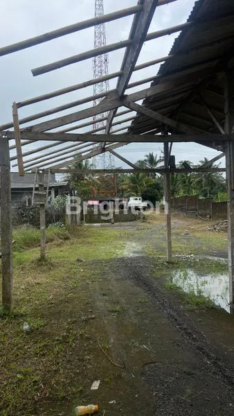 image TANAH STRATEGIS PINGGIR JALAN RAYA KE BEDUGUL (4)