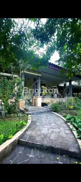 image RUMAH ASRI NYAMAN DAN LUAS DI TENGAH KOTA SIAP HUNI COCOK UNTUK KELUARGA BESAR (3)