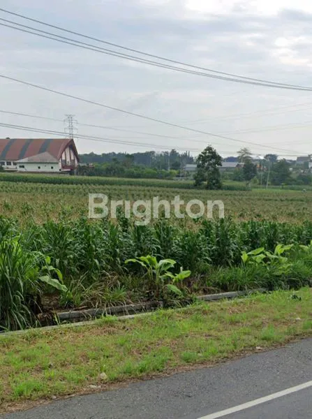 image TANAH DI JLN. RADEN GUNAWAN, RAJABASA, PESAWARAN, LAMPUNG (4)