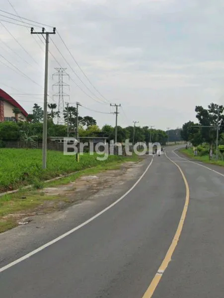image TANAH DI JLN. RADEN GUNAWAN, RAJABASA, PESAWARAN, LAMPUNG (2)