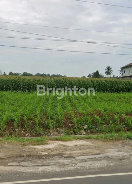 image TANAH DI JLN. RADEN GUNAWAN, RAJABASA, PESAWARAN, LAMPUNG (1)