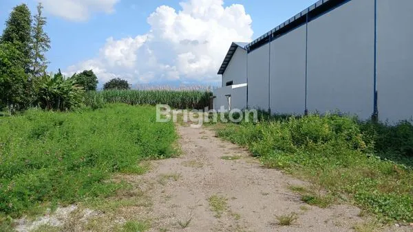 image GUDANG SIAP PAKAI DI KEDIRI, LT BESAR 8500M² (2)