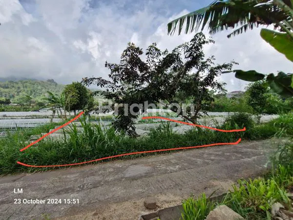 image DIJUAL TANAH HARGA GLOBAL 1 MILYARD DI CANDI KUNING BEDUGUL TABANAN (1)