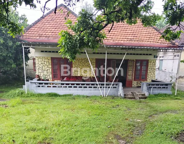 image RUMAH SIAP HUNI, SHM, LT BESAR 1178M² DI PRAMBON (1)