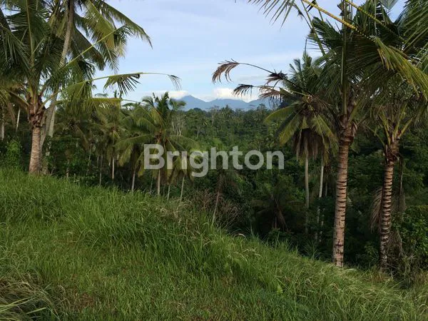 image TANAH LUAS 2,5 HEKTAR DI TEGALALANG, VIEW GUNUNG & LEMBAH (2)