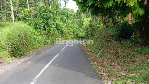 image EKSKLUSIF: LAHAN TEPI SUNGAI (RIVER SIDE) DI PENEBEL – KANVAS SEMPURNA UNTUK RESORT ATAU RETREAT IMPIAN ANDA (5)