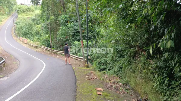 image EKSKLUSIF: LAHAN TEPI SUNGAI (RIVER SIDE) DI PENEBEL – KANVAS SEMPURNA UNTUK RESORT ATAU RETREAT IMPIAN ANDA (6)