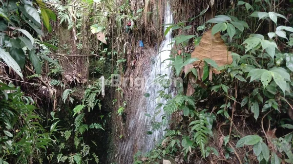 image THE SECRET RIVER GARDEN: LAHAN FLAT TEPI SUNGAI DI PENEBEL – HANYA RP 1 JUTA/ARE! (4)