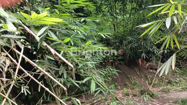 image THE SECRET RIVER GARDEN: LAHAN FLAT TEPI SUNGAI DI PENEBEL – HANYA RP 1 JUTA/ARE! (5)