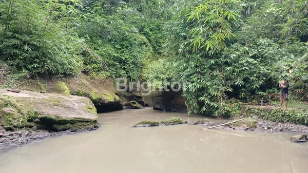 image THE SECRET RIVER GARDEN: LAHAN FLAT TEPI SUNGAI DI PENEBEL – HANYA RP 1 JUTA/ARE! (2)