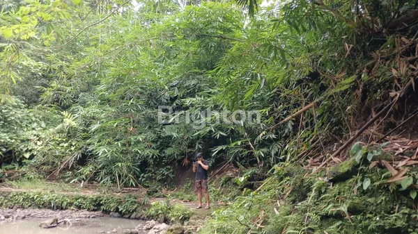 image THE SECRET RIVER GARDEN: LAHAN FLAT TEPI SUNGAI DI PENEBEL – HANYA RP 1 JUTA/ARE! (1)